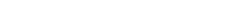 bw西汉姆联